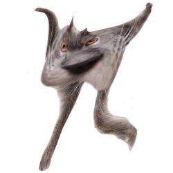 Neoberezhnometano Meme Template