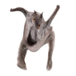 Neoberezhnometano Meme Template