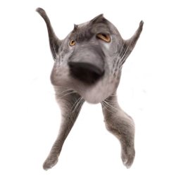 Neoberezhnometano Meme Template
