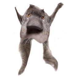 Neoberezhnometano Meme Template