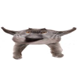 Neoberezhnometano Meme Template