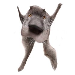 Neoberezhnometano Meme Template