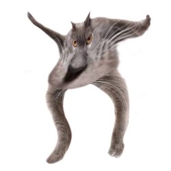 Neoberezhnometano Meme Template