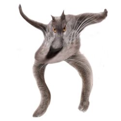 Neoberezhnometano Meme Template
