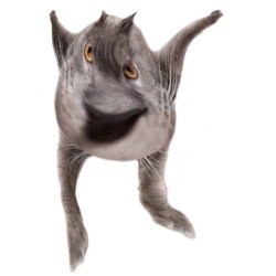 Neoberezhnometano Meme Template