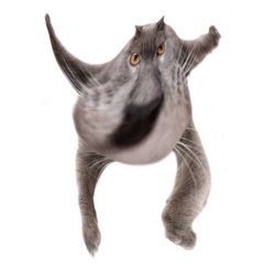 Neoberezhnometano Meme Template
