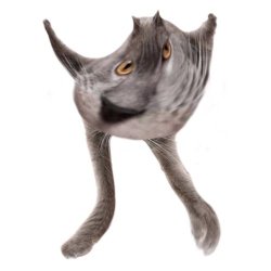 Neoberezhnometano Meme Template