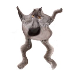 Neoberezhnometano Meme Template