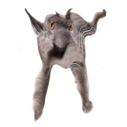 Neoberezhnometano Meme Template