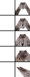 Oberezhnometano Meme Template