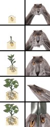 Oberezhnometano Meme Template