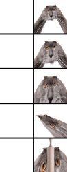 Oberezhnometano Meme Template