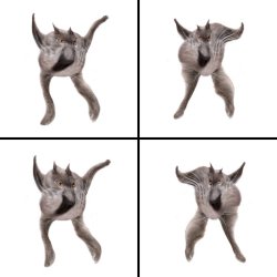 Neoberezhnometano Meme Template