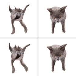 Neoberezhnometano Meme Template
