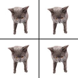 Oberezhnometano Meme Template