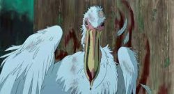 old bird Meme Template