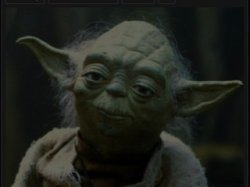 GIF Meme Template