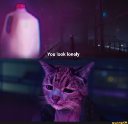 you look lonely Meme Template