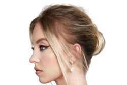 sydney sweeney Meme Template