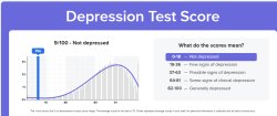 depression test results Meme Template