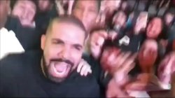 drake Meme Template