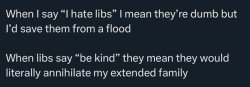 i hate libs Meme Template