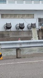 Cat pipes Meme Template