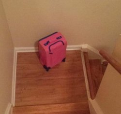 Sad luggage Meme Template