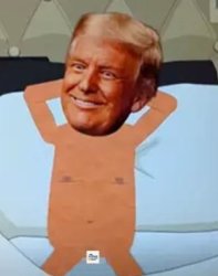 TinyPPtRump Meme Template