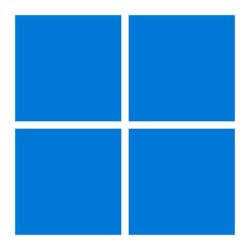 Windows 11 logo Meme Template