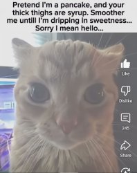 Hello Meme Template