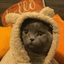 SMOKEY Meme Template