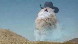 Screaming Cowboy Cat Meme Template