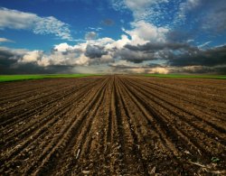 Fields Meme Template