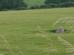 Just a rock in a field Meme Template