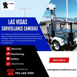 Las Vegas surveillance cameras Meme Template