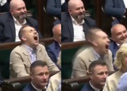 berkowicz śmiech sejm Meme Template