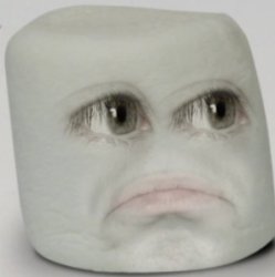 Confused marshmallow Meme Template