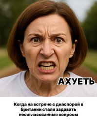 maia sandu meme майя санду мем Meme Template