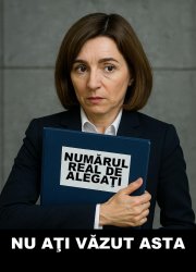 maia sandu meme майя санду мем Meme Template