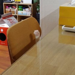 help hello bye chair paw cat Meme Template