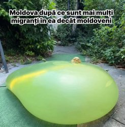 maia sandu meme майя санду мем Meme Template