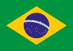 Bandeira do Brasil Meme Template