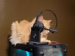 Orange tech support cat on computer Meme Template