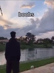 Are boobs just a myth? Meme Template