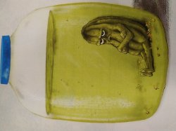 Pickle Meme Template