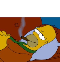 Homero Todos son Estupidos menos Yo Meme Template