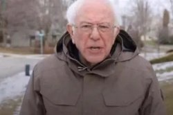 Bernie I Am Once again asking Meme Template