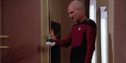Picard replicator Meme Template