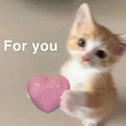 cat Meme Template